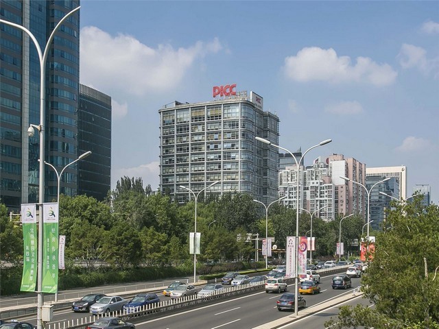 观赏咖啡红龙养殖方法